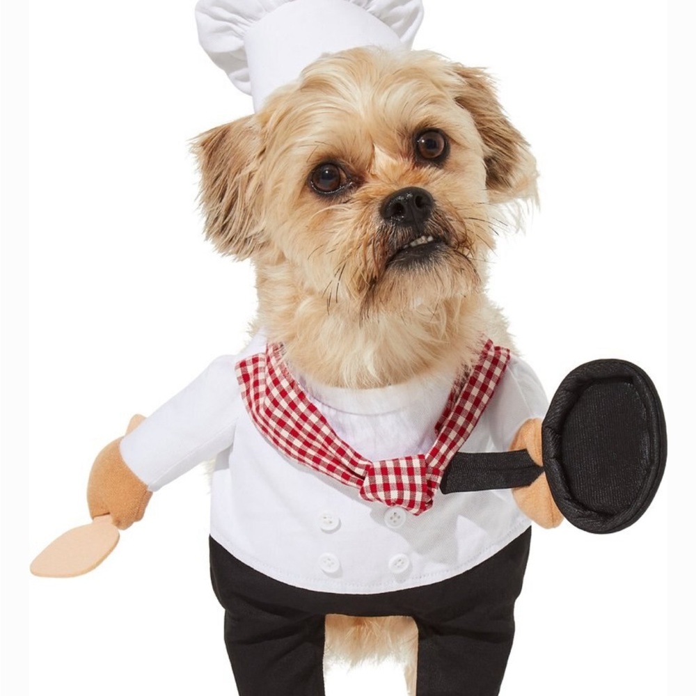 Frisco Front Walking Chef Dog & Cat Costume, Large